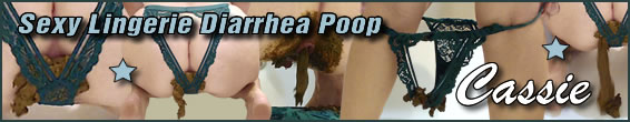 Sexy Lingerie Diarrhea Poop